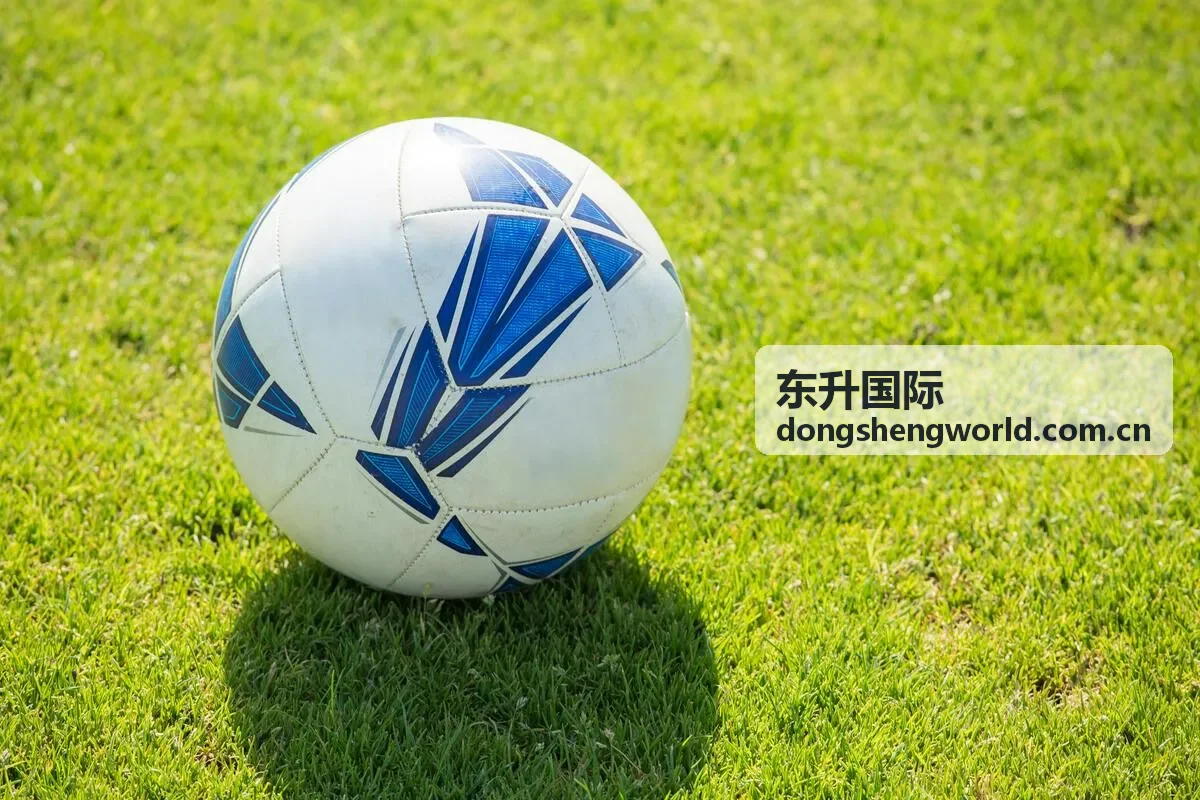 东升国际为装备制造企业搭建欧洲售后网络