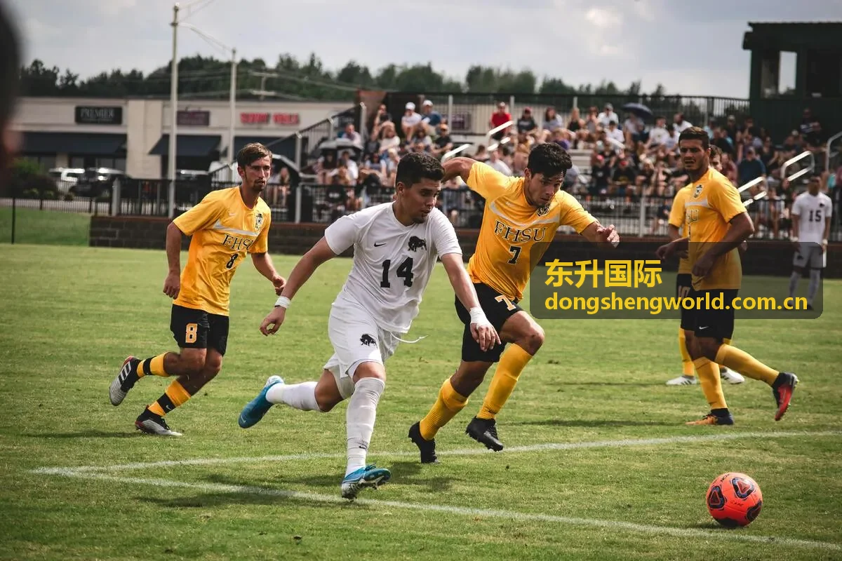 东升国际进出口代理与资质服务
